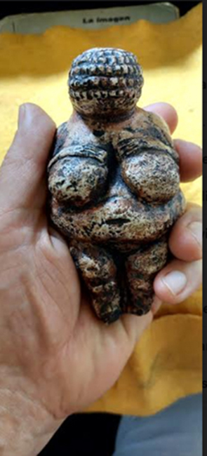 Réplica de la pieza hallada en 1908 en Willendorf (Austria), llamada Venus. Altura 11,1 cm,
ancho 7 cm y profundidad 4,5 cm. Probablemente realizada en el período paleolítico (28.000 a
25.000 años a. C.). Museo de Historia Natural de Viena.