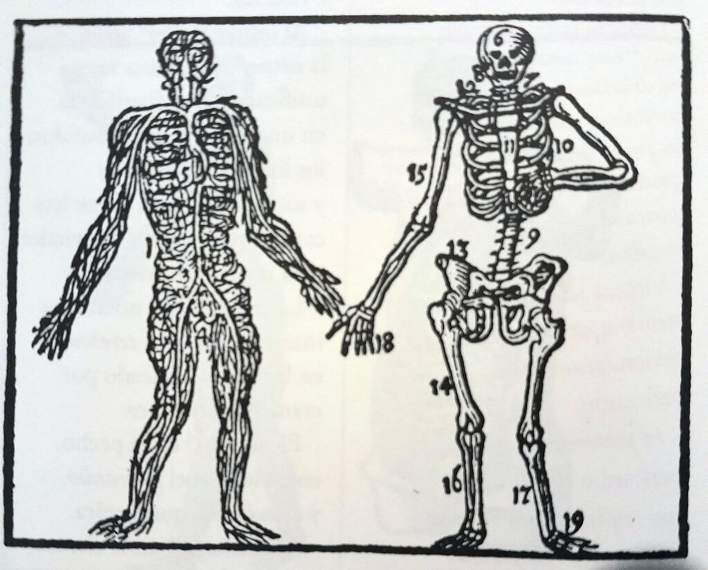 Xilografías de Paulo Kreutzberger, en Orbis Sensualis Pictus (1658), de Iohannes Amos Comenius. Entre los siglos XVI y XVII Comenius desarrolla su proyecto pedagógico en una etapa de transición cultural, política y religiosa. Sienta entonces las bases de la pedagogía en el sentido actual del término; incluye el diseño e intercalado de imágenes para democratizar la lectura, e incorpora el teatro y la danza para activar la sensibilidad y capacidad de creación.